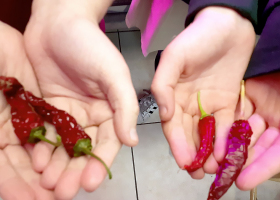 “Fairchild Challenge”