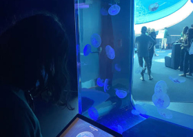 Field trip - Frost museum of science 2022