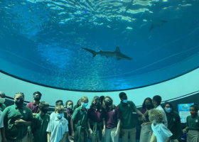 Field trip - Frost museum of science 2022