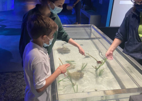 Field trip - Frost museum of science 2022