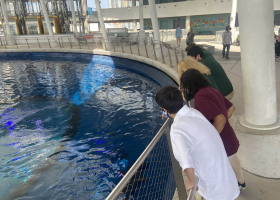 Field trip - Frost museum of science 2022