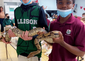 Annual reptile show