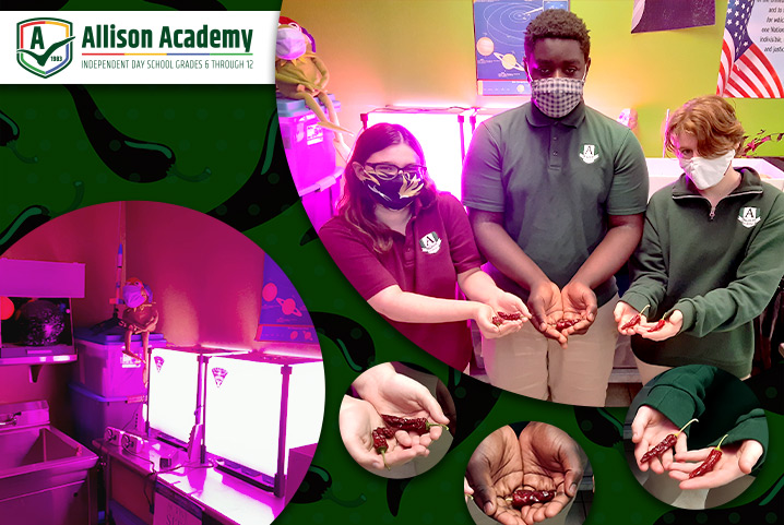 “Fairchild Challenge”