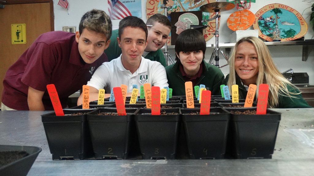 Healthy environment for Allison Academy students