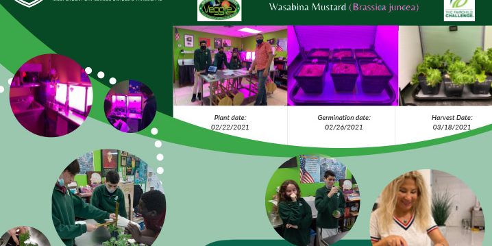 gbe_project_fea Growing Beyond Earth project