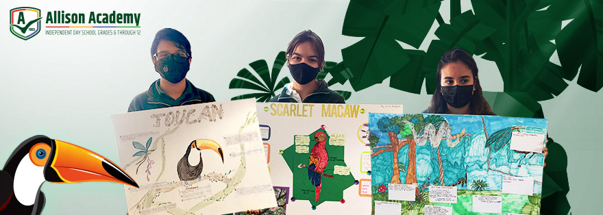 learning about the importance of the Amazon to our planet