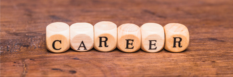 Wooden dice spelling career