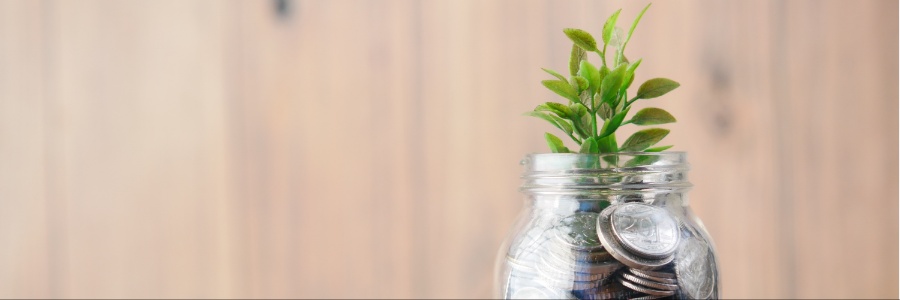 Money savings in a glass jar